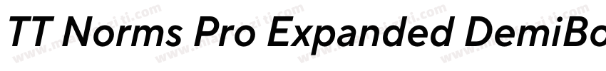TT Norms Pro Expanded DemiBold Ital字体转换